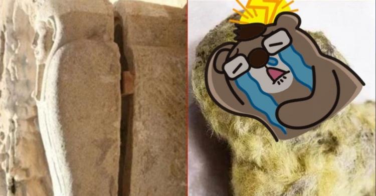 俄國人撿到一塊石頭！竟是「萬年不腐的滅絕物種」揭開真相…真的是歷史大發現！