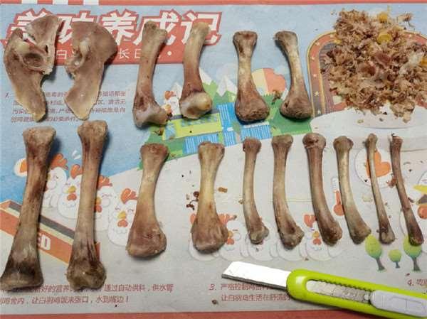 神人网友用吃剩的肯德基骨头打造游戏中的李白,超狂成品让原本在旁边